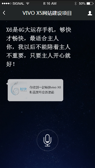 VIVO X5網(wǎng)站建設(shè)項目